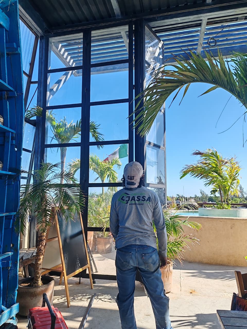 Ventanal de perfiles de acero y vidrio con vista a jardín tropical